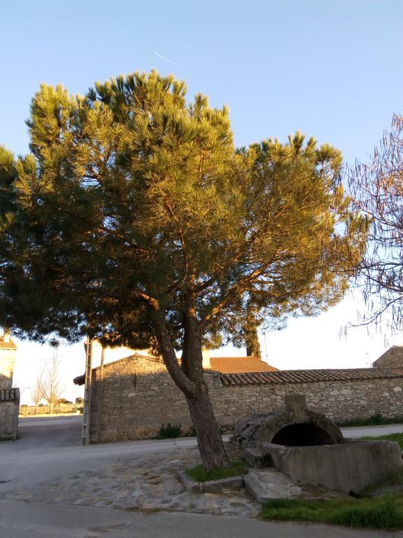 Pension El Abuelo Carbellino Εξωτερικό φωτογραφία